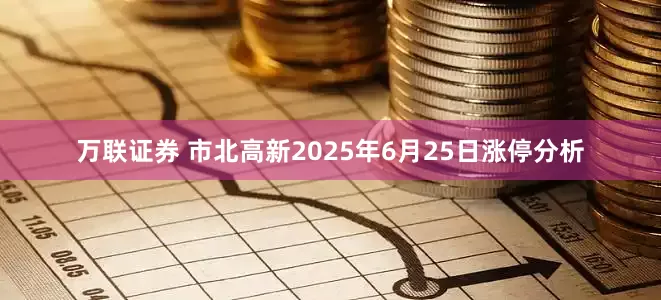 万联证券 市北高新2025年6月25日涨停分析